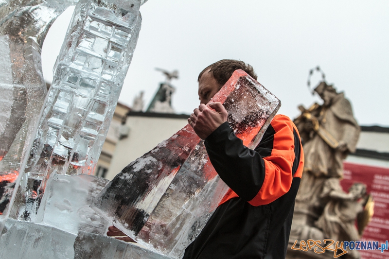 VIII Międzynarodowy Festiwal Rzeźb Lodowych - Poznań 15.12.2013 r. Foto: LepszyPOZNAN.pl / Paweł Rychter VIII Międzynarodowy Festiwal Rzeźb Lodowych - Poznań 15.12.2013 r. Foto: LepszyPOZNAN.pl / Paweł Rychter