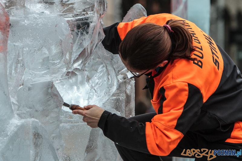 VIII Międzynarodowy Festiwal Rzeźb Lodowych - Poznań 15.12.2013 r. Foto: LepszyPOZNAN.pl / Paweł Rychter VIII Międzynarodowy Festiwal Rzeźb Lodowych - Poznań 15.12.2013 r. Foto: LepszyPOZNAN.pl / Paweł Rychter