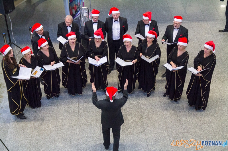 Żłóbek "W drodze" - Lotnisko Ławica Foto: lepszyPOZNAN.pl / Piotr Rychter Żłóbek "W drodze" - Lotnisko Ławica Foto: lepszyPOZNAN.pl / Piotr Rychter