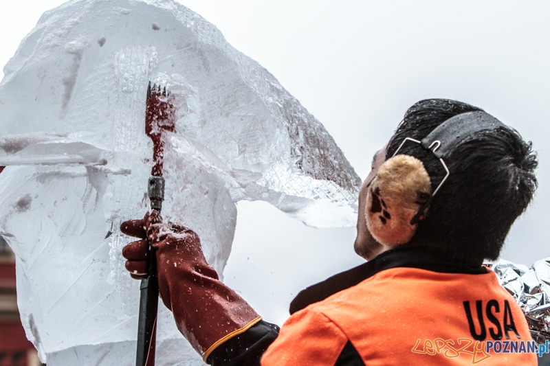 VIII Międzynarodowy Festiwal Rzeźb Lodowych - Poznań 15.12.2013 r. Foto: LepszyPOZNAN.pl / Paweł Rychter VIII Międzynarodowy Festiwal Rzeźb Lodowych - Poznań 15.12.2013 r. Foto: LepszyPOZNAN.pl / Paweł Rychter