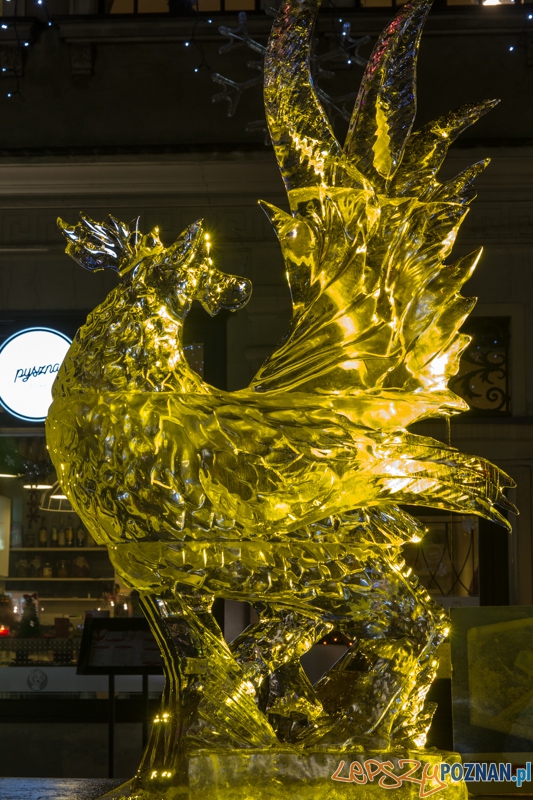 VIII Międzynarodowy Festiwal Rzeźby Lodowej - III nagroda Foto: lepszyPOZNAN.pl / Piotr Rychter VIII Międzynarodowy Festiwal Rzeźby Lodowej - III nagroda Foto: lepszyPOZNAN.pl / Piotr Rychter