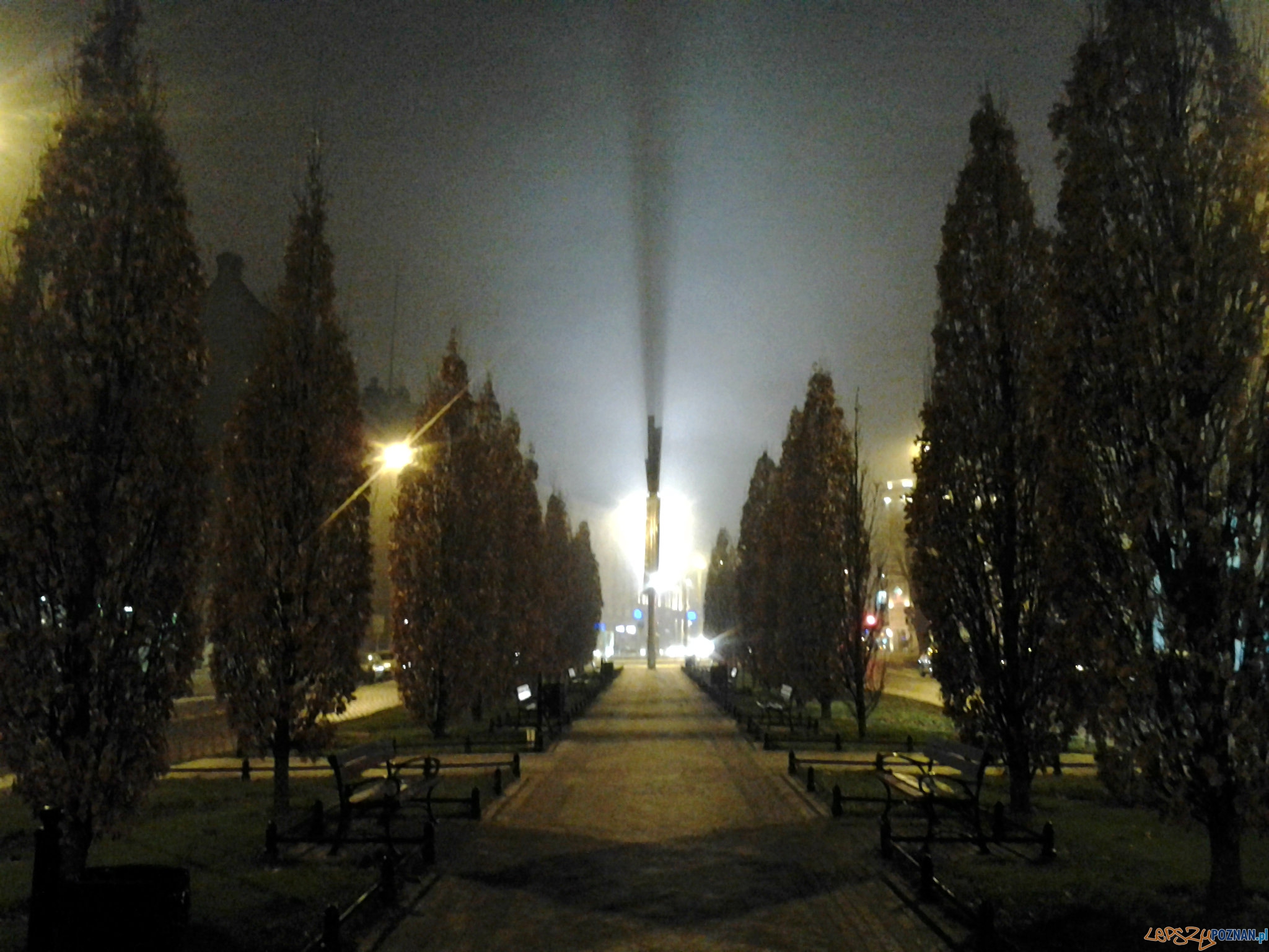 Mgła w Poznaniu  Foto: lepszyPOZNAN.pl / tab