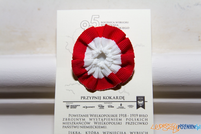 Przypnij Kokardę Foto: lepszyPOZNAN.pl / Piotr Rychter Przypnij Kokardę Foto: lepszyPOZNAN.pl / Piotr Rychter