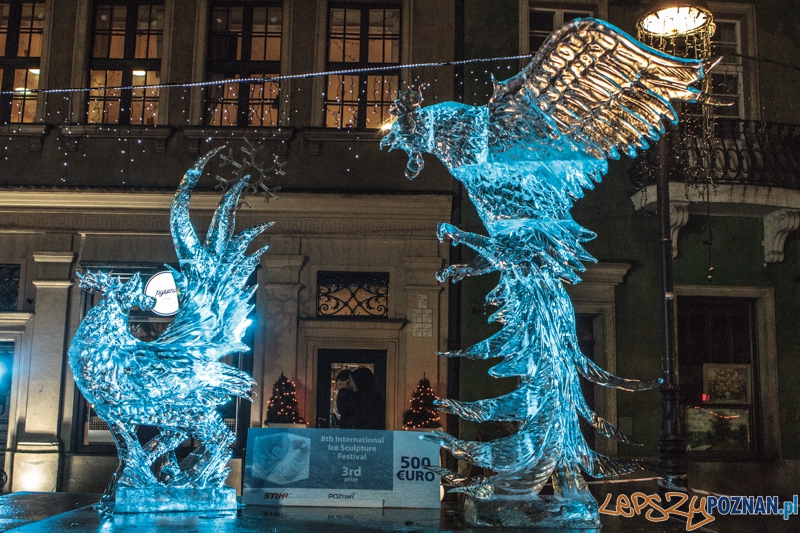 VIII Międzynarodowy Festiwal Rzeźb Lodowych - Poznań 15.12.2013 r. Foto: LepszyPOZNAN.pl / Paweł Rychter VIII Międzynarodowy Festiwal Rzeźb Lodowych - Poznań 15.12.2013 r. Foto: LepszyPOZNAN.pl / Paweł Rychter