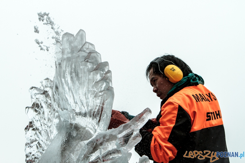 VIII Międzynarodowy Festiwal Rzeźb Lodowych - Poznań 15.12.2013 r. Foto: LepszyPOZNAN.pl / Paweł Rychter VIII Międzynarodowy Festiwal Rzeźb Lodowych - Poznań 15.12.2013 r. Foto: LepszyPOZNAN.pl / Paweł Rychter