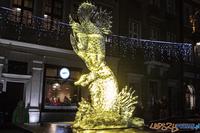 VIII Międzynarodowy Festiwal Rzeźb Lodowych - Poznań 15.12.2013 r. Foto: LepszyPOZNAN.pl / Paweł Rychter VIII Międzynarodowy Festiwal Rzeźb Lodowych - Poznań 15.12.2013 r. Foto: LepszyPOZNAN.pl / Paweł Rychter