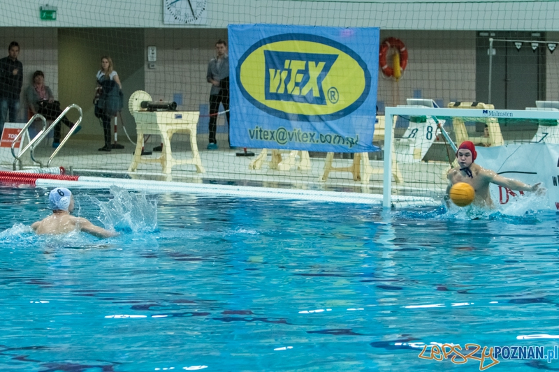 DSW Waterpolo Poznań - Arkonia Szczecin 14:13 - Poznań 12.01.2014 r. Foto: LepszyPOZNAN.pl / Paweł Rychter DSW Waterpolo Poznań - Arkonia Szczecin 14:13 - Poznań 12.01.2014 r. Foto: LepszyPOZNAN.pl / Paweł Rychter