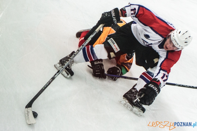 PTH Poznań - Żółwie Piła 4:6 - Poznań 25.01.2014 r. Foto: LepszyPOZNAN.pl / Paweł Rychter PTH Poznań - Żółwie Piła 4:6 - Poznań 25.01.2014 r. Foto: LepszyPOZNAN.pl / Paweł Rychter