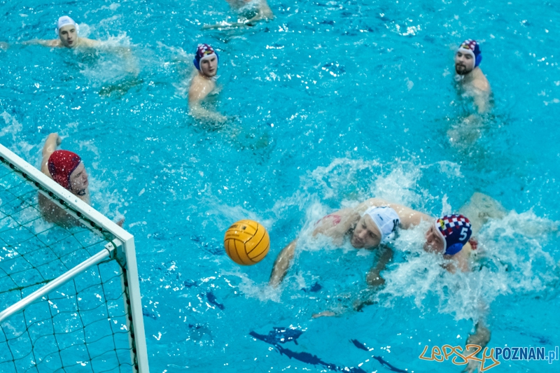 DSW Waterpolo Poznań - Arkonia Szczecin 14:13 - Poznań 12.01.2014 r. Foto: LepszyPOZNAN.pl / Paweł Rychter DSW Waterpolo Poznań - Arkonia Szczecin 14:13 - Poznań 12.01.2014 r. Foto: LepszyPOZNAN.pl / Paweł Rychter