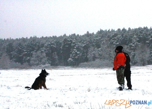 Szkolenie Foto: KM Policji w Poznaniu Szkolenie Foto: KM Policji w Poznaniu