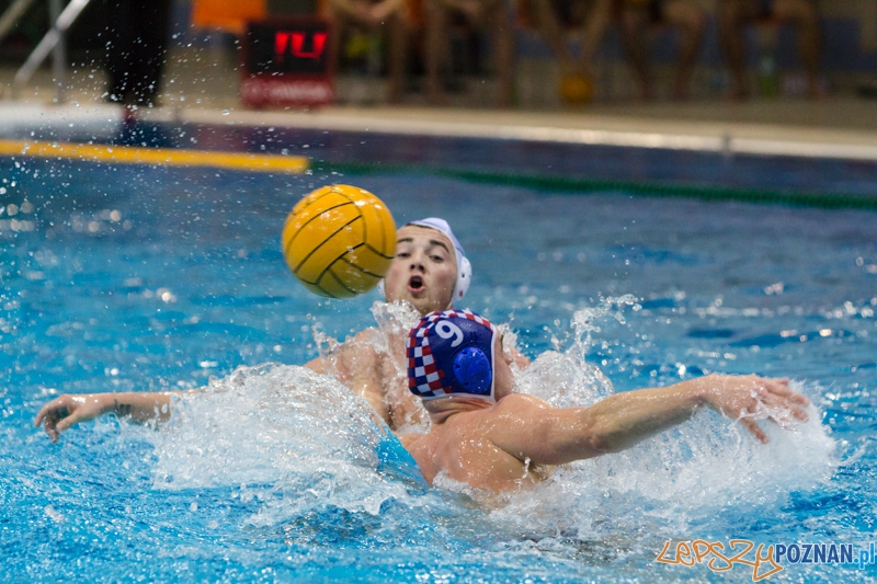 DSW Waterpolo Poznań - Arkonia Szczecin (Dawid Łuc) Foto: lepszyPOZNAN.pl / Piotr Rychter DSW Waterpolo Poznań - Arkonia Szczecin (Dawid Łuc) Foto: lepszyPOZNAN.pl / Piotr Rychter