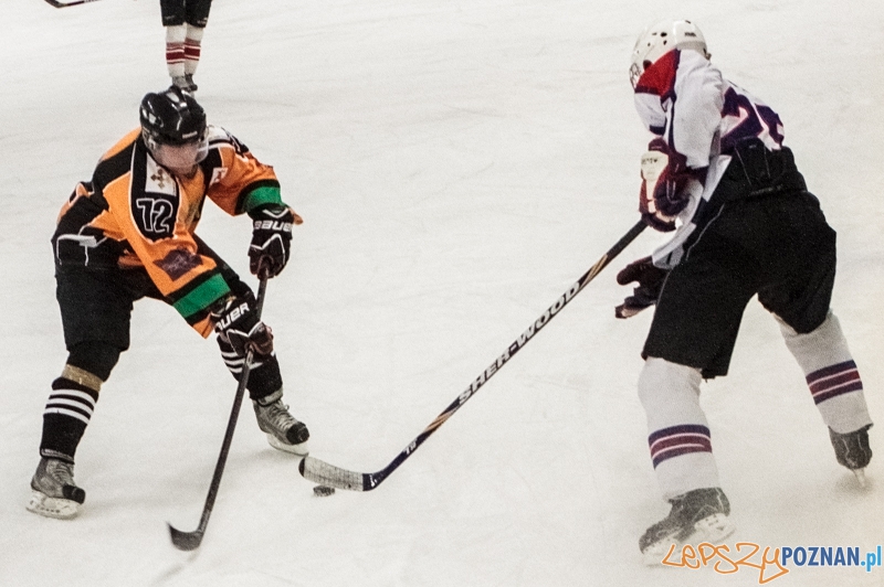 PTH Poznań - Żółwie Piła 4:6 - Poznań 25.01.2014 r. Foto: LepszyPOZNAN.pl / Paweł Rychter PTH Poznań - Żółwie Piła 4:6 - Poznań 25.01.2014 r. Foto: LepszyPOZNAN.pl / Paweł Rychter