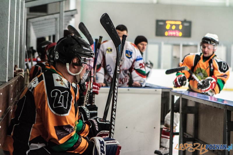 PTH Poznań - Żółwie Piła 4:6 - Poznań 25.01.2014 r. Foto: LepszyPOZNAN.pl / Paweł Rychter PTH Poznań - Żółwie Piła 4:6 - Poznań 25.01.2014 r. Foto: LepszyPOZNAN.pl / Paweł Rychter