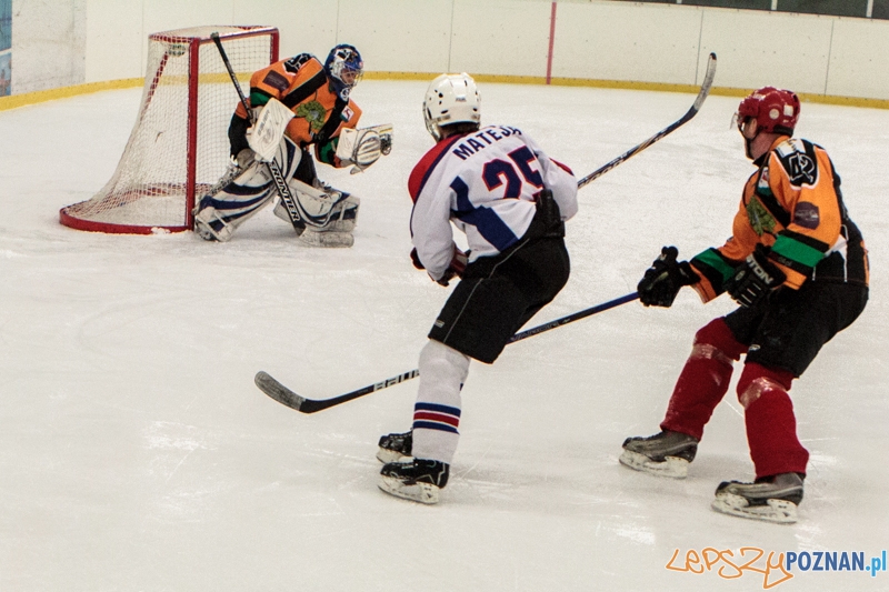PTH Poznań - Żółwie Piła 4:6 - Poznań 25.01.2014 r. Foto: LepszyPOZNAN.pl / Paweł Rychter PTH Poznań - Żółwie Piła 4:6 - Poznań 25.01.2014 r. Foto: LepszyPOZNAN.pl / Paweł Rychter