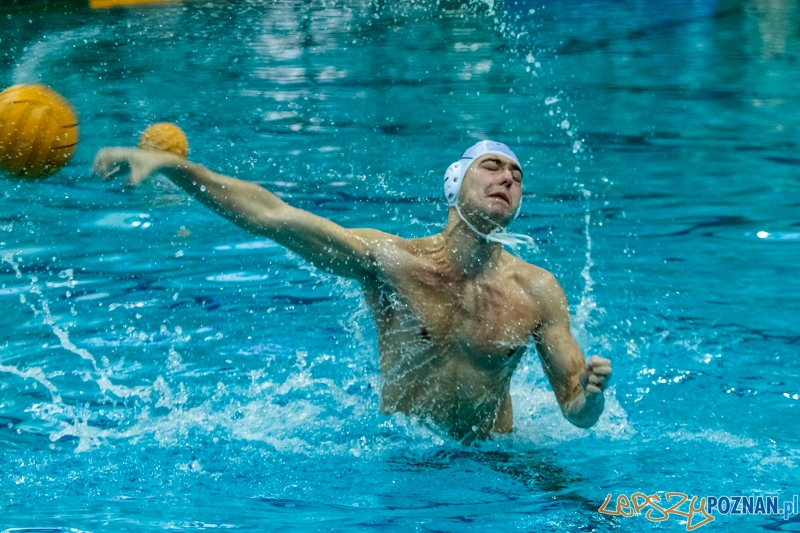 DSW Waterpolo Poznań - Arkonia Szczecin 14:13 - Poznań 12.01.2014 r. Foto: LepszyPOZNAN.pl / Paweł Rychter DSW Waterpolo Poznań - Arkonia Szczecin 14:13 - Poznań 12.01.2014 r. Foto: LepszyPOZNAN.pl / Paweł Rychter
