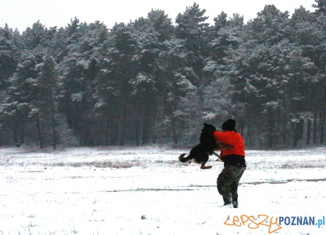 Atakuj Foto: KM Policji w Poznaniu Atakuj Foto: KM Policji w Poznaniu