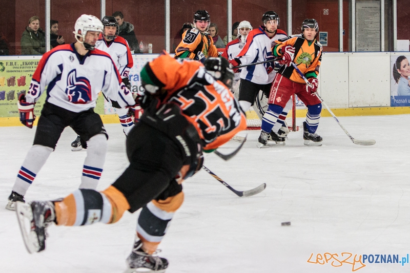 PTH Poznań - Żółwie Piła 4:6 - Poznań 25.01.2014 r. Foto: LepszyPOZNAN.pl / Paweł Rychter PTH Poznań - Żółwie Piła 4:6 - Poznań 25.01.2014 r. Foto: LepszyPOZNAN.pl / Paweł Rychter