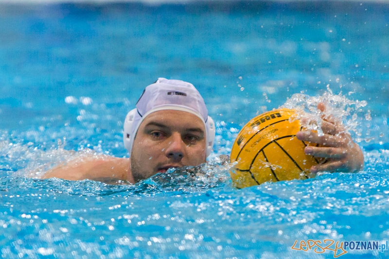 DSW Waterpolo Poznań - Arkonia Szczecin Foto: lepszyPOZNAN.pl / Piotr Rychter DSW Waterpolo Poznań - Arkonia Szczecin Foto: lepszyPOZNAN.pl / Piotr Rychter