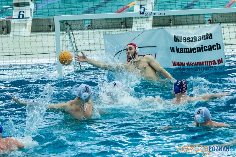 DSW Waterpolo Poznań - Arkonia Szczecin 14:13 - Poznań 12.01.2014 r. Foto: LepszyPOZNAN.pl / Paweł Rychter DSW Waterpolo Poznań - Arkonia Szczecin 14:13 - Poznań 12.01.2014 r. Foto: LepszyPOZNAN.pl / Paweł Rychter