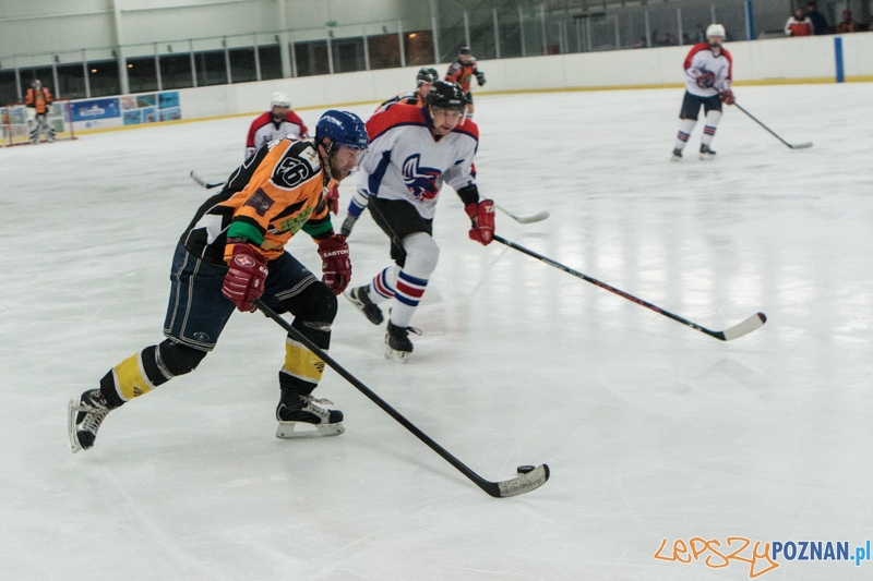 PTH Poznań - Żółwie Piła 4:6 - Poznań 25.01.2014 r. Foto: LepszyPOZNAN.pl / Paweł Rychter PTH Poznań - Żółwie Piła 4:6 - Poznań 25.01.2014 r. Foto: LepszyPOZNAN.pl / Paweł Rychter
