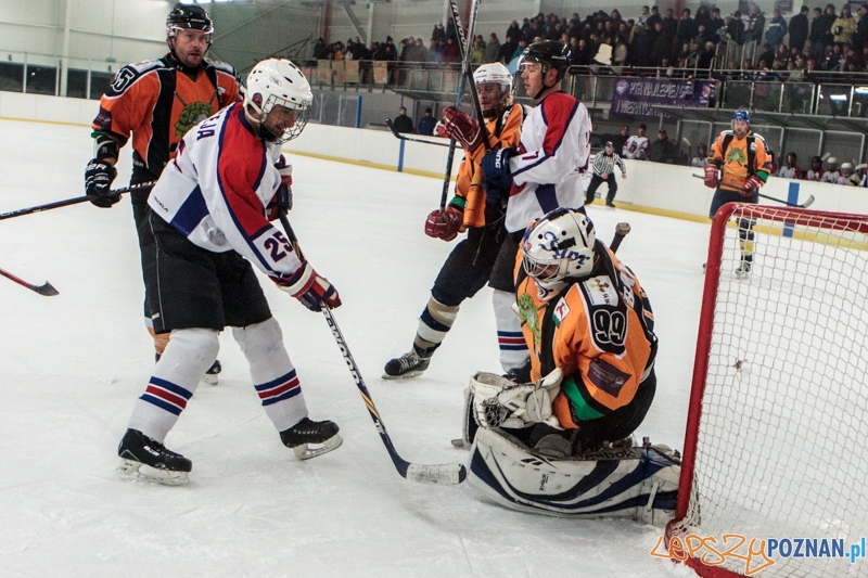 PTH Poznań - Żółwie Piła 4:6 - Poznań 25.01.2014 r. Foto: LepszyPOZNAN.pl / Paweł Rychter PTH Poznań - Żółwie Piła 4:6 - Poznań 25.01.2014 r. Foto: LepszyPOZNAN.pl / Paweł Rychter