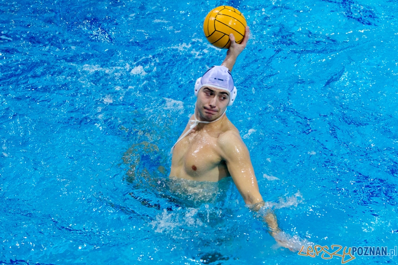 DSW Waterpolo Poznań - Arkonia Szczecin Foto: lepszyPOZNAN.pl / Piotr Rychter DSW Waterpolo Poznań - Arkonia Szczecin Foto: lepszyPOZNAN.pl / Piotr Rychter