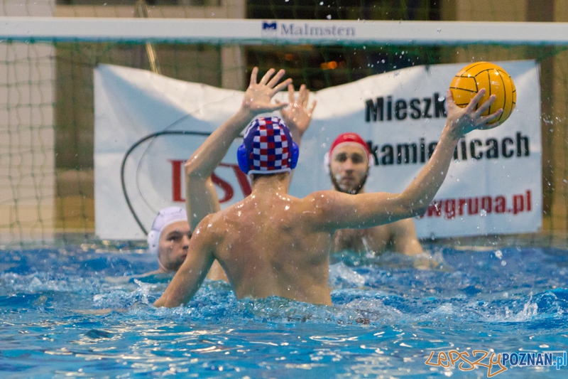 DSW Waterpolo Poznań - Arkonia Szczecin Foto: lepszyPOZNAN.pl / Piotr Rychter DSW Waterpolo Poznań - Arkonia Szczecin Foto: lepszyPOZNAN.pl / Piotr Rychter