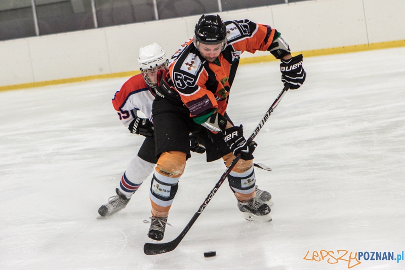 PTH Poznań - Żółwie Piła 4:6 - Poznań 25.01.2014 r. Foto: LepszyPOZNAN.pl / Paweł Rychter PTH Poznań - Żółwie Piła 4:6 - Poznań 25.01.2014 r. Foto: LepszyPOZNAN.pl / Paweł Rychter