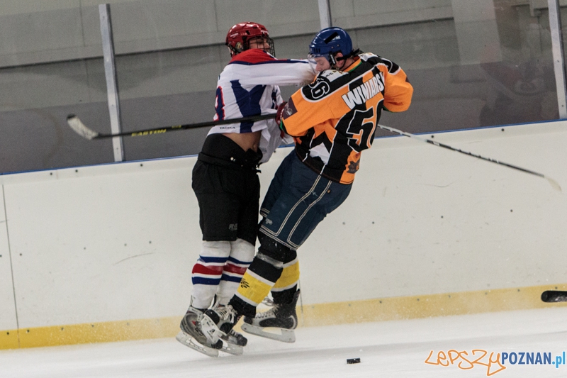 PTH Poznań - Żółwie Piła 4:6 - Poznań 25.01.2014 r. Foto: LepszyPOZNAN.pl / Paweł Rychter PTH Poznań - Żółwie Piła 4:6 - Poznań 25.01.2014 r. Foto: LepszyPOZNAN.pl / Paweł Rychter