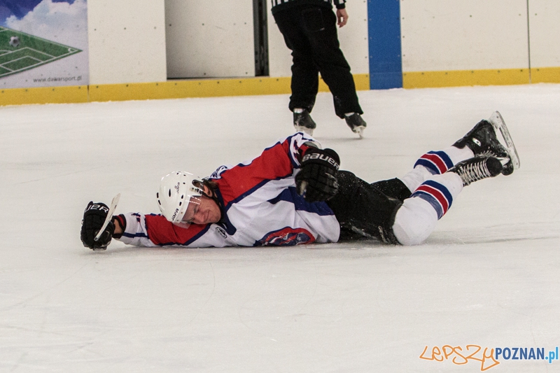 PTH Poznań - Żółwie Piła 4:6 - Poznań 25.01.2014 r. Foto: LepszyPOZNAN.pl / Paweł Rychter PTH Poznań - Żółwie Piła 4:6 - Poznań 25.01.2014 r. Foto: LepszyPOZNAN.pl / Paweł Rychter