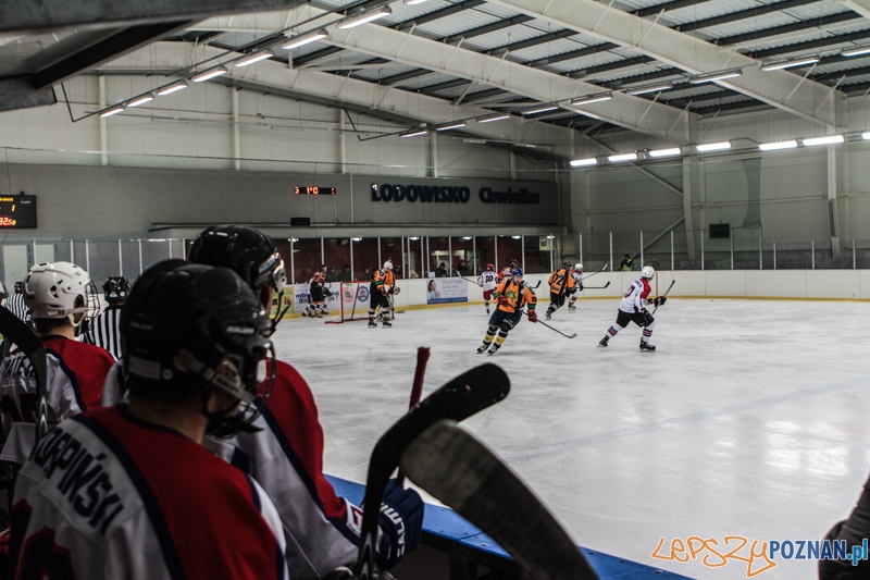 PTH Poznań - Żółwie Piła 4:6 - Poznań 25.01.2014 r. Foto: LepszyPOZNAN.pl / Paweł Rychter PTH Poznań - Żółwie Piła 4:6 - Poznań 25.01.2014 r. Foto: LepszyPOZNAN.pl / Paweł Rychter