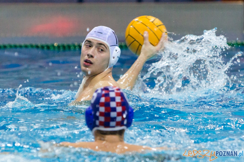 DSW Waterpolo Poznań - Arkonia Szczecin Foto: lepszyPOZNAN.pl / Piotr Rychter DSW Waterpolo Poznań - Arkonia Szczecin Foto: lepszyPOZNAN.pl / Piotr Rychter
