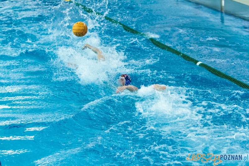 DSW Waterpolo Poznań - Arkonia Szczecin 14:13 - Poznań 12.01.2014 r. Foto: LepszyPOZNAN.pl / Paweł Rychter DSW Waterpolo Poznań - Arkonia Szczecin 14:13 - Poznań 12.01.2014 r. Foto: LepszyPOZNAN.pl / Paweł Rychter