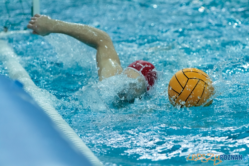 DSW Waterpolo Poznań - Arkonia Szczecin 14:13 - Poznań 12.01.2014 r. Foto: LepszyPOZNAN.pl / Paweł Rychter DSW Waterpolo Poznań - Arkonia Szczecin 14:13 - Poznań 12.01.2014 r. Foto: LepszyPOZNAN.pl / Paweł Rychter