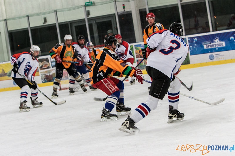 PTH Poznań - Żółwie Piła 4:6 - Poznań 25.01.2014 r. Foto: LepszyPOZNAN.pl / Paweł Rychter PTH Poznań - Żółwie Piła 4:6 - Poznań 25.01.2014 r. Foto: LepszyPOZNAN.pl / Paweł Rychter