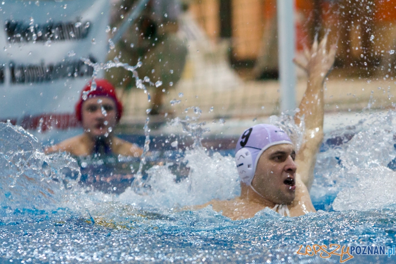 DSW Waterpolo Poznań - Arkonia Szczecin (Piotr Cichy) Foto: lepszyPOZNAN.pl / Piotr Rychter DSW Waterpolo Poznań - Arkonia Szczecin (Piotr Cichy) Foto: lepszyPOZNAN.pl / Piotr Rychter