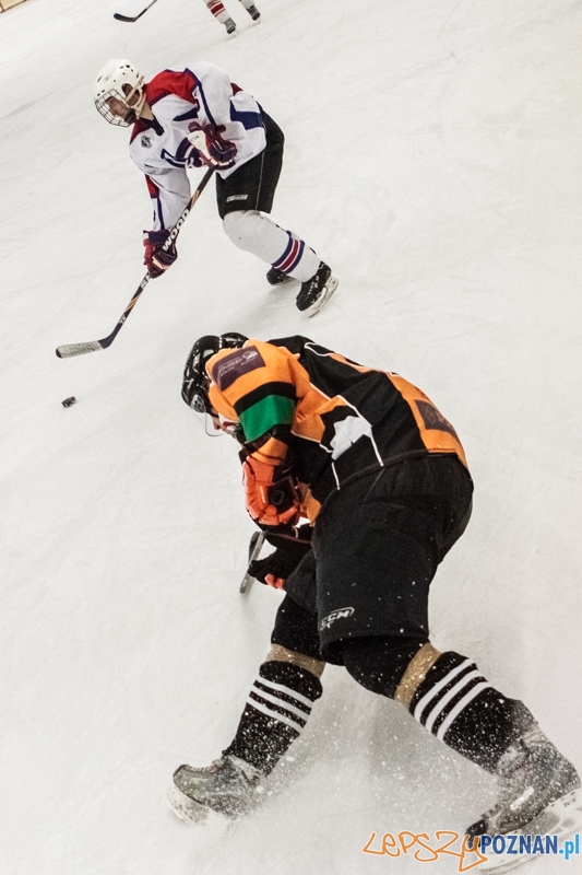 PTH Poznań - Żółwie Piła 4:6 - Poznań 25.01.2014 r. Foto: LepszyPOZNAN.pl / Paweł Rychter PTH Poznań - Żółwie Piła 4:6 - Poznań 25.01.2014 r. Foto: LepszyPOZNAN.pl / Paweł Rychter