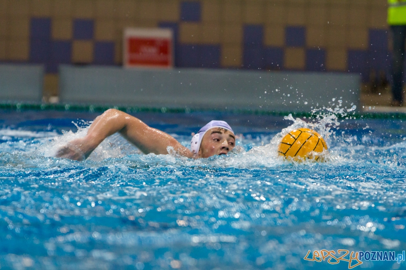 DSW Waterpolo Poznań - Arkonia Szczecin (Dawid Łuc) Foto: lepszyPOZNAN.pl / Piotr Rychter DSW Waterpolo Poznań - Arkonia Szczecin (Dawid Łuc) Foto: lepszyPOZNAN.pl / Piotr Rychter