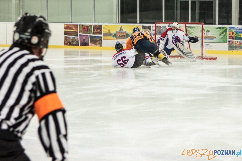 PTH Poznań - Żółwie Piła 4:6 - Poznań 25.01.2014 r. Foto: LepszyPOZNAN.pl / Paweł Rychter PTH Poznań - Żółwie Piła 4:6 - Poznań 25.01.2014 r. Foto: LepszyPOZNAN.pl / Paweł Rychter