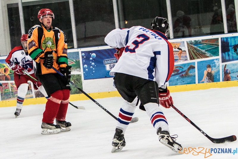PTH Poznań - Żółwie Piła 4:6 - Poznań 25.01.2014 r. Foto: LepszyPOZNAN.pl / Paweł Rychter PTH Poznań - Żółwie Piła 4:6 - Poznań 25.01.2014 r. Foto: LepszyPOZNAN.pl / Paweł Rychter