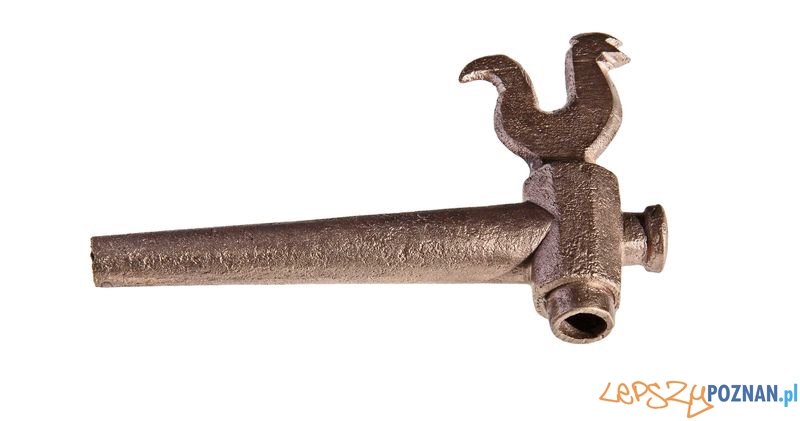 Eksponaty z Muzeum Archeologicznego w Gdańsku Foto: Muzeum Archeologiczne w Gdańsku Eksponaty z Muzeum Archeologicznego w Gdańsku Foto: Muzeum Archeologiczne w Gdańsku