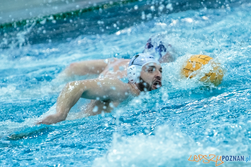 DSW Waterpolo Poznań - Arkonia Szczecin 14:13 - Poznań 12.01.2014 r. Foto: LepszyPOZNAN.pl / Paweł Rychter DSW Waterpolo Poznań - Arkonia Szczecin 14:13 - Poznań 12.01.2014 r. Foto: LepszyPOZNAN.pl / Paweł Rychter