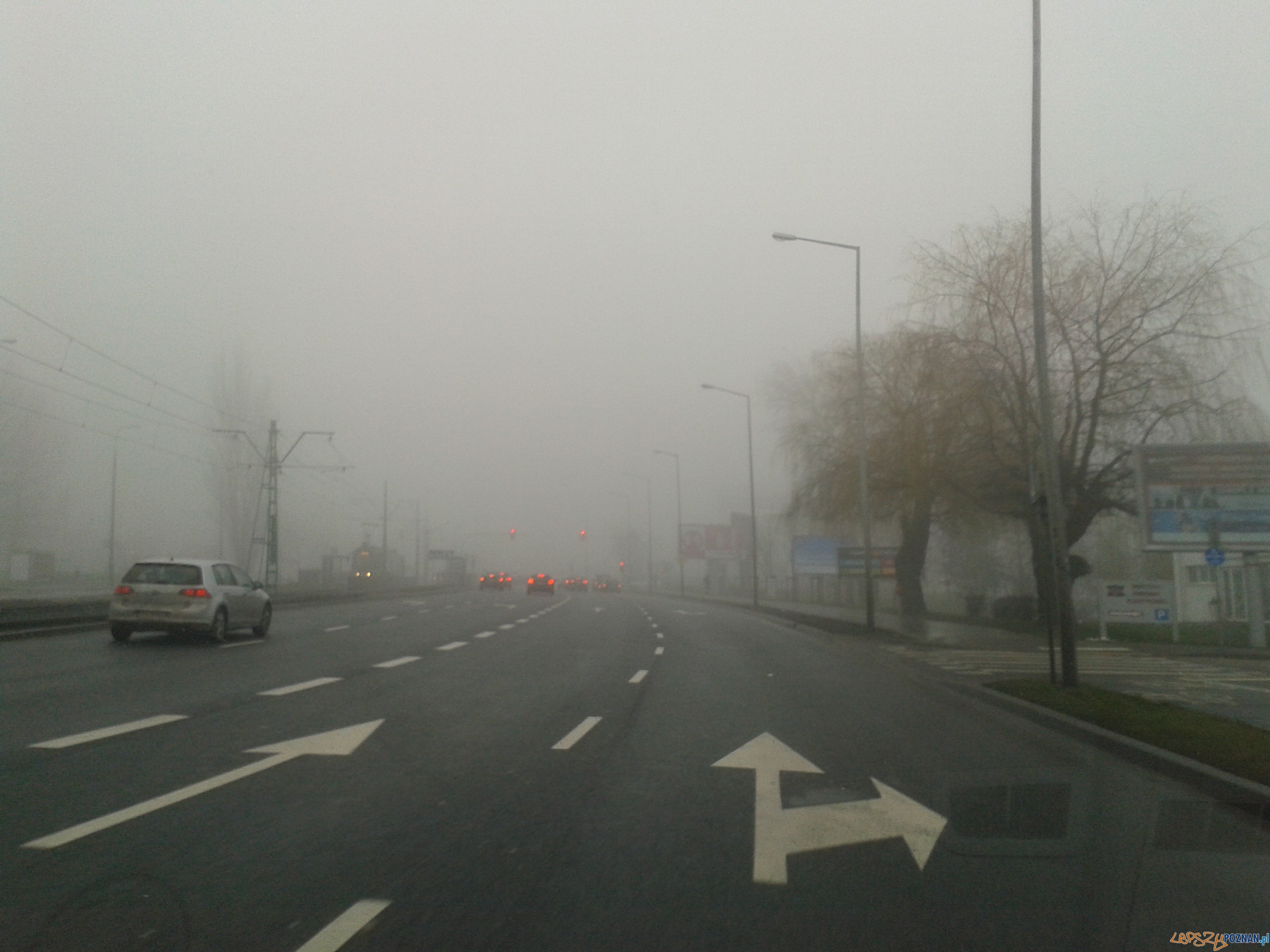 Poranna mgła  Foto: lepszyPOZNAN.pl / gsm