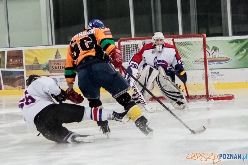 PTH Poznań - Żółwie Piła 4:6 - Poznań 25.01.2014 r. Foto: LepszyPOZNAN.pl / Paweł Rychter PTH Poznań - Żółwie Piła 4:6 - Poznań 25.01.2014 r. Foto: LepszyPOZNAN.pl / Paweł Rychter