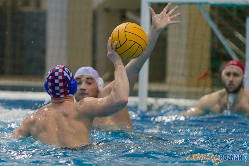 DSW Waterpolo Poznań - Arkonia Szczecin (Dawid Łuc) Foto: lepszyPOZNAN.pl / Piotr Rychter DSW Waterpolo Poznań - Arkonia Szczecin (Dawid Łuc) Foto: lepszyPOZNAN.pl / Piotr Rychter