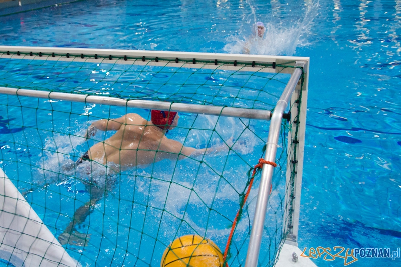 DSW Waterpolo Poznań - Arkonia Szczecin Foto: lepszyPOZNAN.pl / Piotr Rychter DSW Waterpolo Poznań - Arkonia Szczecin Foto: lepszyPOZNAN.pl / Piotr Rychter