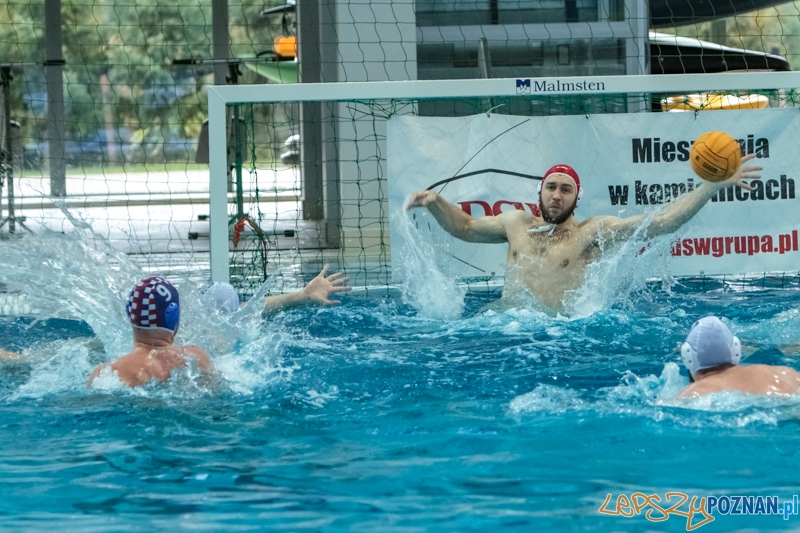 DSW Waterpolo Poznań - Arkonia Szczecin 14:13 - Poznań 12.01.2014 r. Foto: LepszyPOZNAN.pl / Paweł Rychter DSW Waterpolo Poznań - Arkonia Szczecin 14:13 - Poznań 12.01.2014 r. Foto: LepszyPOZNAN.pl / Paweł Rychter