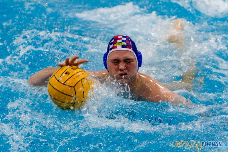 DSW Waterpolo Poznań - Arkonia Szczecin Foto: lepszyPOZNAN.pl / Piotr Rychter DSW Waterpolo Poznań - Arkonia Szczecin Foto: lepszyPOZNAN.pl / Piotr Rychter