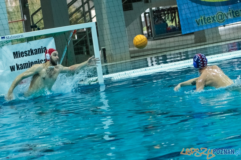 DSW Waterpolo Poznań - Arkonia Szczecin 14:13 - Poznań 12.01.2014 r. Foto: LepszyPOZNAN.pl / Paweł Rychter DSW Waterpolo Poznań - Arkonia Szczecin 14:13 - Poznań 12.01.2014 r. Foto: LepszyPOZNAN.pl / Paweł Rychter