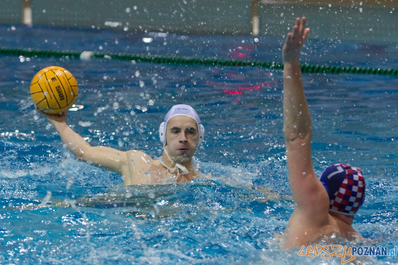 DSW Waterpolo Poznań - Arkonia Szczecin Foto: lepszyPOZNAN.pl / Piotr Rychter DSW Waterpolo Poznań - Arkonia Szczecin Foto: lepszyPOZNAN.pl / Piotr Rychter